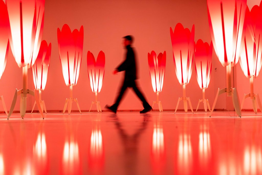 The Crimson Procession